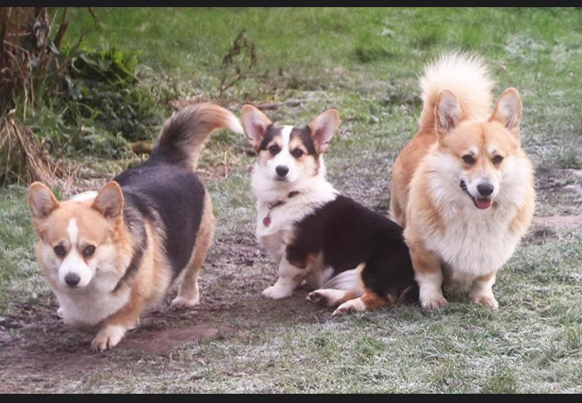 Quand les étoiles chuchotent
